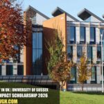 University of Sussex MBA Impact Scholarship