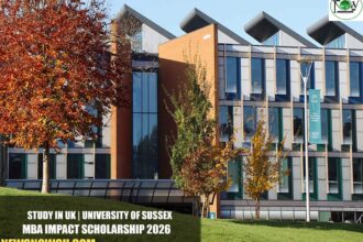 University of Sussex MBA Impact Scholarship