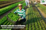 Vegetable Farm Jobs in Luxembourg
