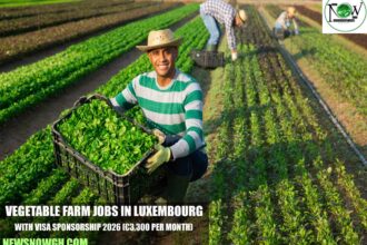 Vegetable Farm Jobs in Luxembourg