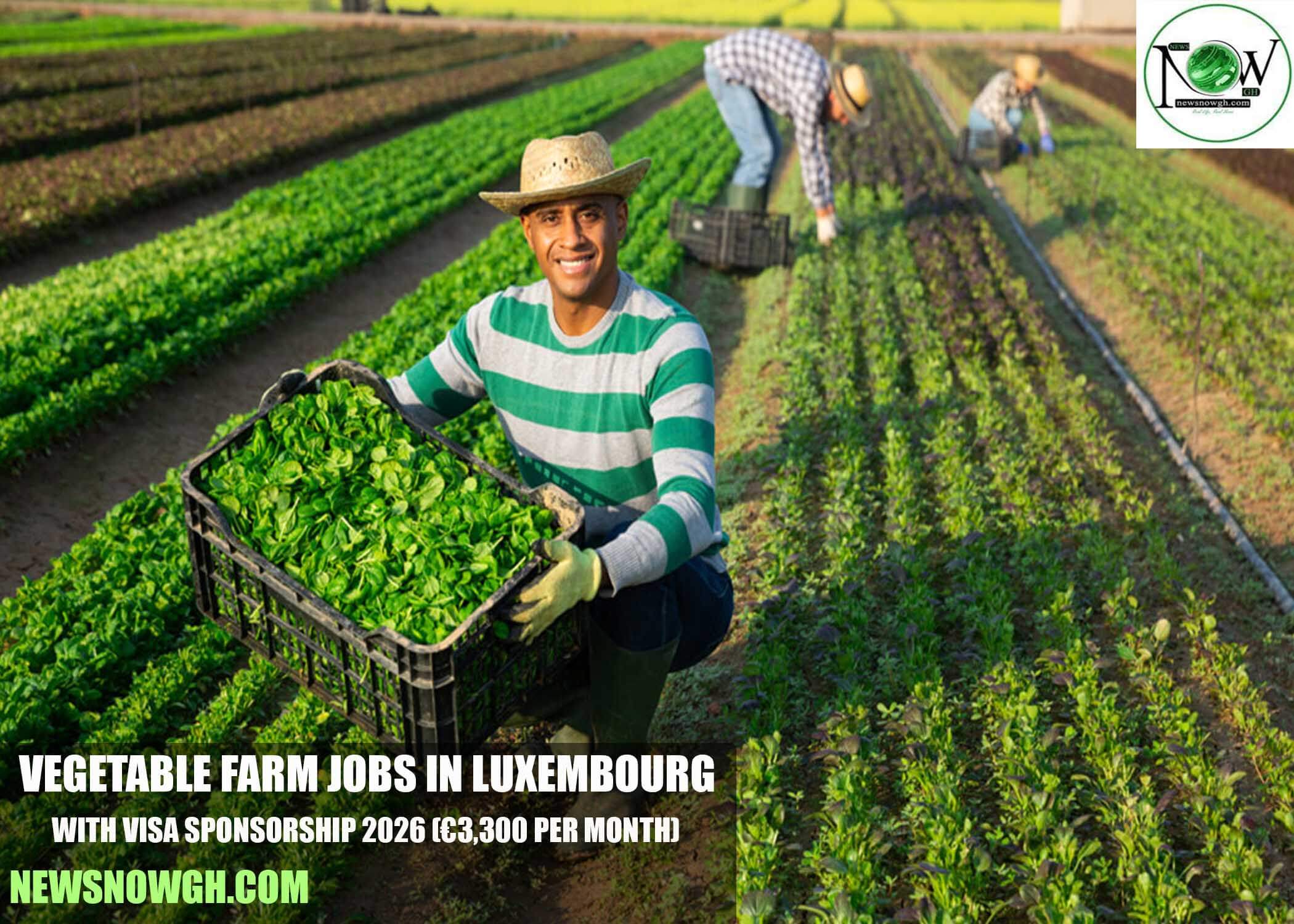 Vegetable Farm Jobs in Luxembourg