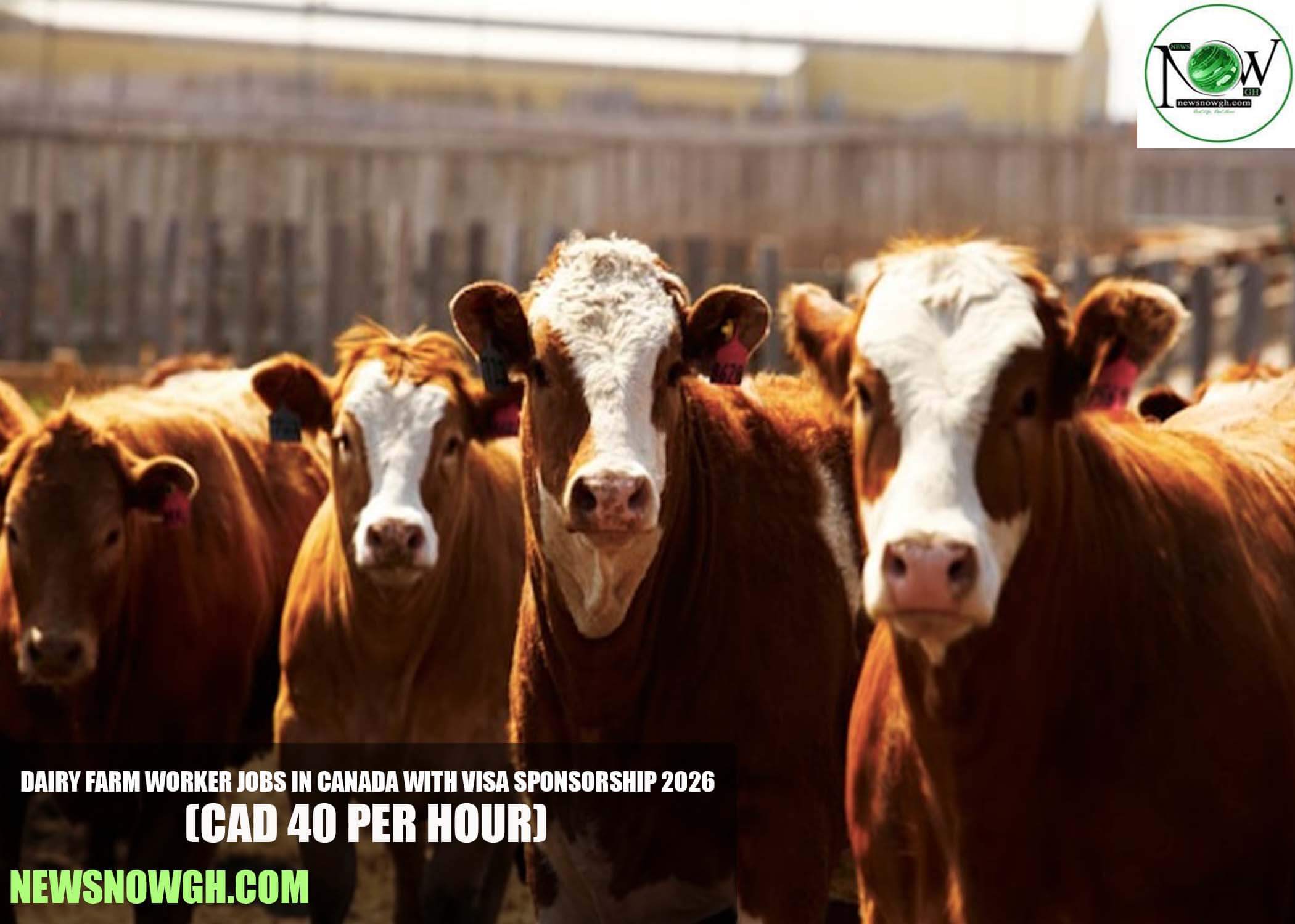 Dairy Farm Worker Jobs in Canada with Visa Sponsorship