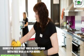 Domestic Assistant Jobs in Scotland with Free Visa