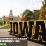 Instructor (Anatomy Labs) Jobs in USA 2026 | The University of Iowa